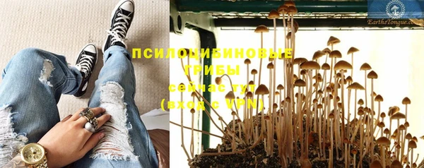 гашик Балабаново