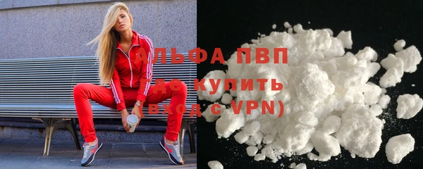 spice Осташков