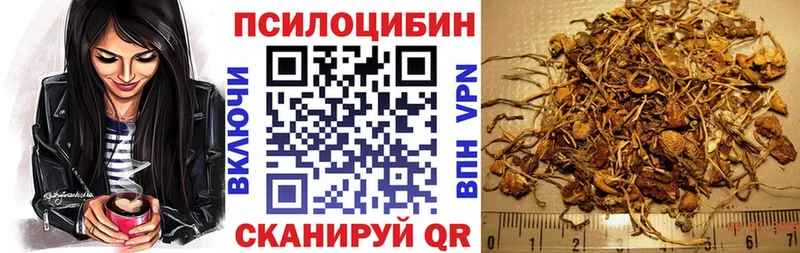 как найти наркотики  Гаврилов-Ям  Псилоцибиновые грибы прущие грибы 